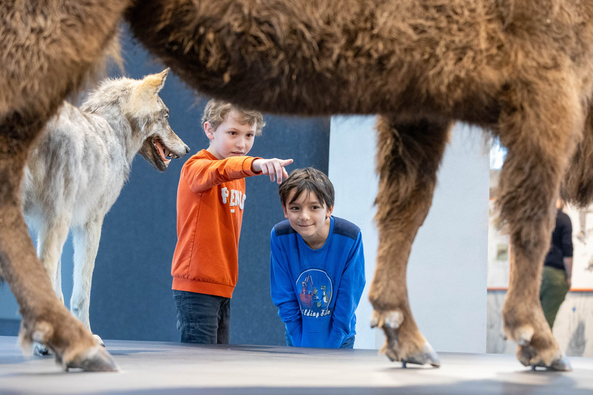 Porträt eines jungen Mannes, der an einen Rezeptions-Tresen lehnt, den rechten Ellbogen darauf aufgestützt. Er lächelt, hat dunkle Haare und trägt einen schwarzen Pullover mit hochgekrämpelten Ärmeln sowie eine helle Bundfaltenhose. In den Händen hält er einen Prospekt.